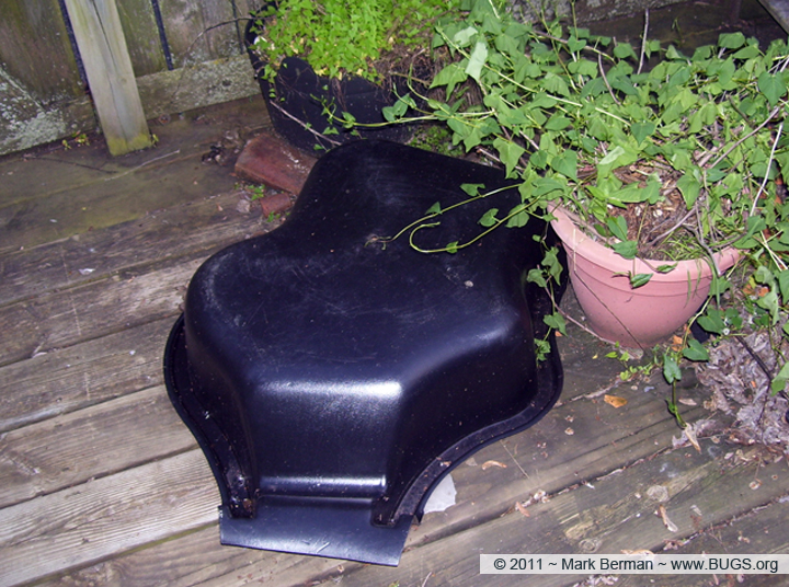 Small plastic garden pond over Ant drawer